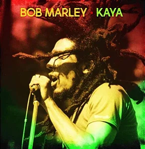 Vinil LP Bob Marley and The Wailers - Kaya [Importado lacrado]