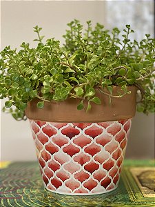 Cachepot em Ceramica - Vermelho - 14CM