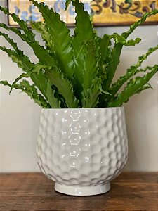 Cachepot em Ceramica - Branco - 18CM