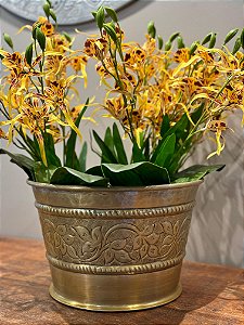 Cachepot em Alumínio - Martelado - Dourado - 29CM