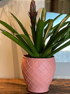 Cachepot em Ceramica - Rosa 21CM