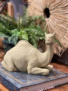Camelo - Decorativo -  Resina - Bege