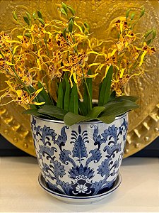 Cachepot em Ceramica - Azul e Branco - 25,5CM