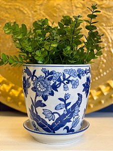 Cachepot em Ceramica - Azul e Branco - 15,5CM