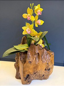 Escultura Tronco - Cachepot - Decorativo