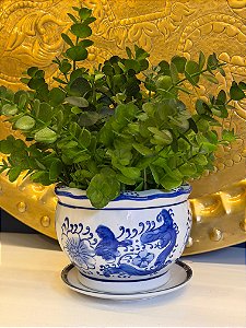 Cachepot em Cerâmica - Azul e Branco - 12CM