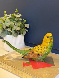 Escultura Periquito - Decorativa - Cerâmica - Amarelo e Verde