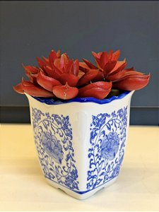 Cachepot em Cerâmica - Azul e Branco - 10CM