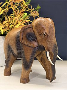 Elefante - Madeira Maciça - Marrom - 22CM