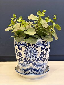 Cachepot em Cerâmica - Flores - Azul e Branco - 16CM