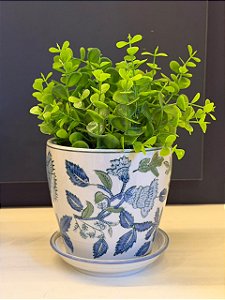Cachepot em Cerâmica - Azul e Verde - 12,5CM