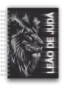 AGENDA EDIFICANTE LEÃO DE JUDA