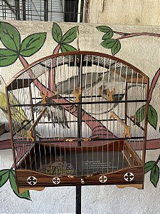 gaiola padrão torneio