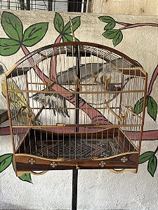 gaiola padrão toroneio