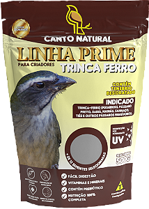 rinca-ferro, pixarros, pássaro preto, tiés, sabiá, mainás e outros pássaros frugívoros