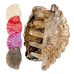 Importado - Prendedor de Cabelo Piranha Concha Sortido MM5674 - 06 Und