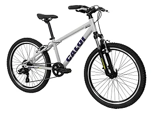 Bicicleta Caloi Wild Aro 24 8v Alumínio