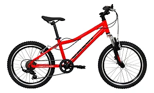Bicicleta Wild Xs Aro 20 7V
