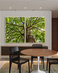 Conjunto com 02 quadros decorativos Árvore