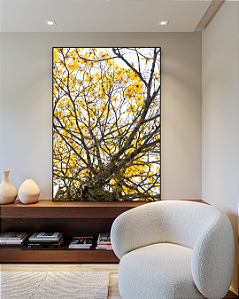 Quadro Decorativo Ipê Amarelo - Artista James Hilton Becker