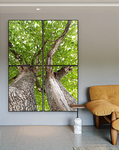 Conjunto com 04 Quadros Decorativos Árvores - Artista James Hilton Becker