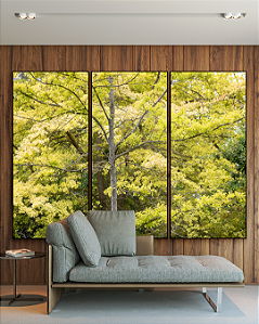 Conjunto com 03 Quadros Decorativos Natureza Majestosa - Artista James Hilton Becker