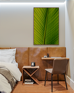 Quadro Decorativo Detalhes Calathea - Artista Sofia Monzani