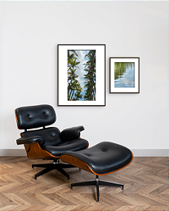 Conjunto com 02 Quadros Caminhos da Natureza com Paspatur - Artista Quintal Fotografia