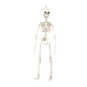 Enfeite Decorativo Halloween - Esqueleto Caveira - 48cm - 01 unidade - Cromus - Rizzo Confeitaria