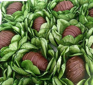 Forminha para Doces Finos - Bela Pistache Clarríssima 40 unidades - Decora Doces