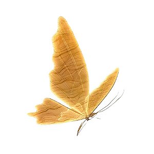 Borboleta de LED para Decoração com Suporte - 80cm - 1 unidade - Rizzo