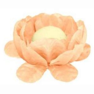 Forminha para Doces Finos - La Belle - Nude Escuro - 30 unidades - Maxiformas - Rizzo