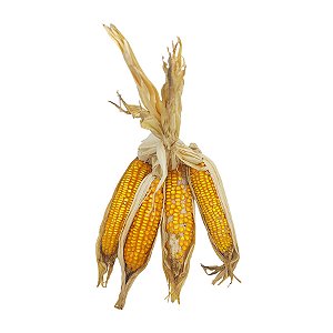 Penca de Milho Seco Para Decoração de Festa Junina - 1 unidade - Rizzo