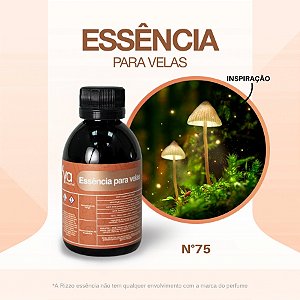 Essência Magia Concentrada Para Velas N°75 - 100g - 1 unidade - Vya - Rizzo
