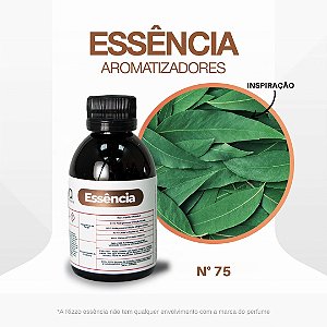 Essência Eucalipto Concentrada Para Ambientes N°75 - 100g - 1 unidade - Vya - Rizzo