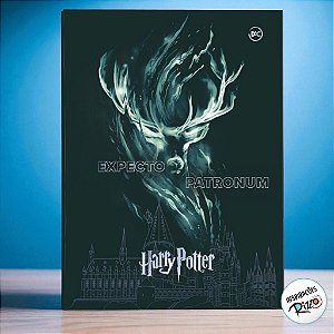 Pasta Catálogo Harry Potter - 10 Envelopes Plásticos - 235x325mm - 1 unidade - Rizzo
