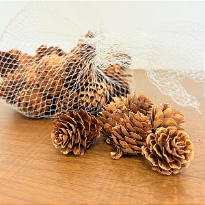 Saquinho com Mini Pinhas - 100g - Artlille - Rizzo