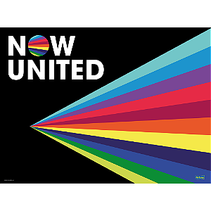 Painel Decorativo Festa TNT Festa Now United - 01 Unidade - Festcolor - Rizzo Festas