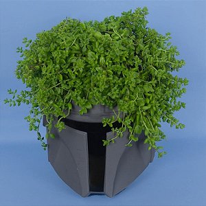 Cachepot de Plástico Para Planta - Mandalorian - Star Wars - 29cm - 1 unidade - Disney Original - Rizzo