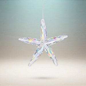 Enfeite Decorativo para Pendurar - Estrela do Mar Furta-Cor - 11,5x12x2cm - 1 unidade - Cromus - Rizzo