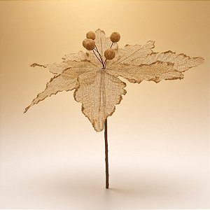 Poinsétia Decorativa - Ouro Vazado - 25x25x24cm - 1 unidade - Cromus - Rizzo