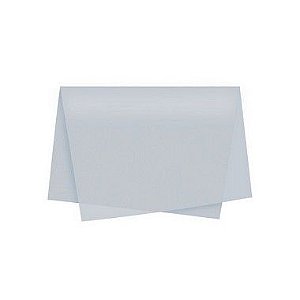 Papel de Seda - 48x60cm - Prata - 10 folhas - Villa Pack - Rizzo