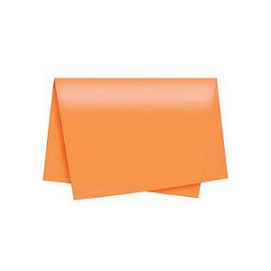 Papel de Seda - 50x70cm - Laranja - 10 folhas - Riacho - Rizzo