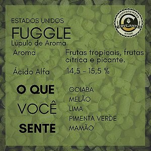 Lúpulo Fuggle - 50g