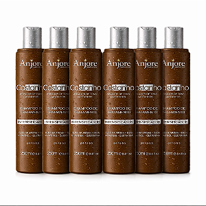 Kit Atacado 6 Shampoo Matizador Intensificador de Cor Castanho Anjore 250ml com Óleo de Argan e Ojon