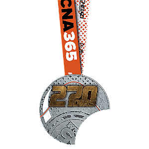 MEDALHA 270 DIAS - DESAFIO 365