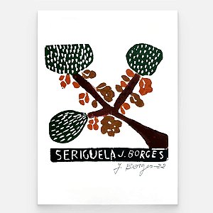 Xilogravura Seriguela P - assinada por J. Borges - PE (Raridade)