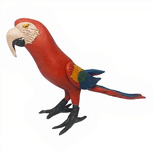 Arara Vermelha de Balata - Etnia Macuxi - RR