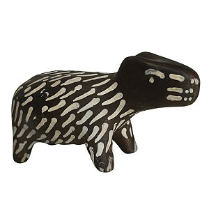 Capivara P - Etnia Terena - MS