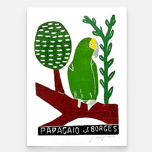 Xilogravura Papagaio M - assinada por J. Borges - PE (Última Peça)